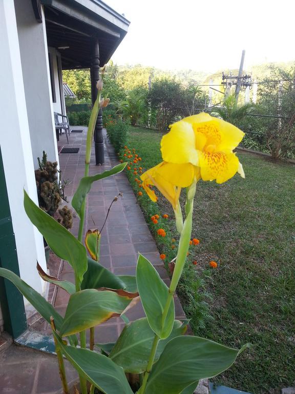 Kandy Holiday Home エクステリア 写真